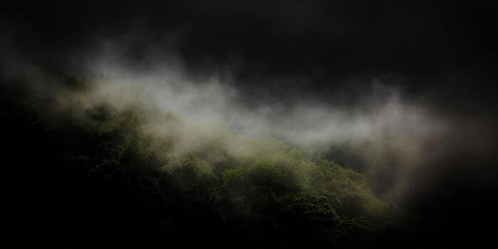 Mysterious forest landscape with fog and dark shadows, creating a moody and atmospheric scene. photo