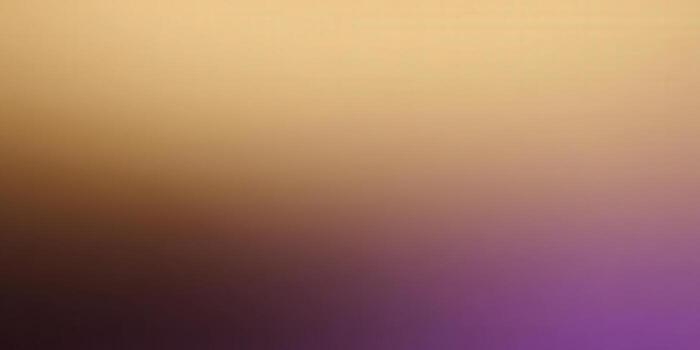 A mesmerizing gradient background with a blend of warm and cool tones. photo