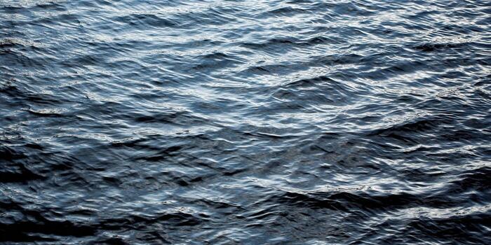 A close-up view of the deep blue ocean surface, showing gentle ripples and serene water. photo