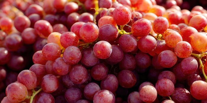 A close-up of juicy red grapes, ready to be picked and enjoyed. photo