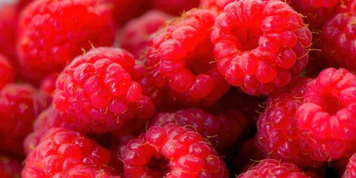 A pile of juicy, red raspberries creates a beautiful and appetizing display of fresh fruit. photo