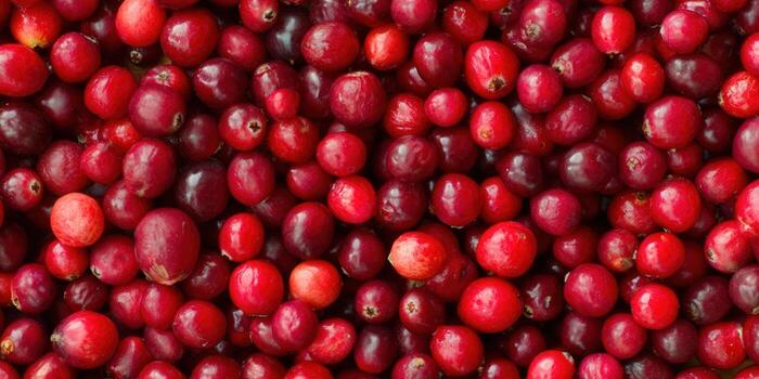 Fresh cranberries form a vibrant, textured backdrop, perfect for various culinary creations. photo