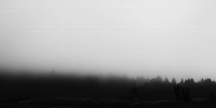 The dense fog obscures a dark forest, creating a mysterious and tranquil scene in monochrome. photo