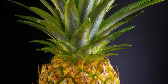 A detailed close-up shot of a fresh, ripe pineapple with green leaves. photo