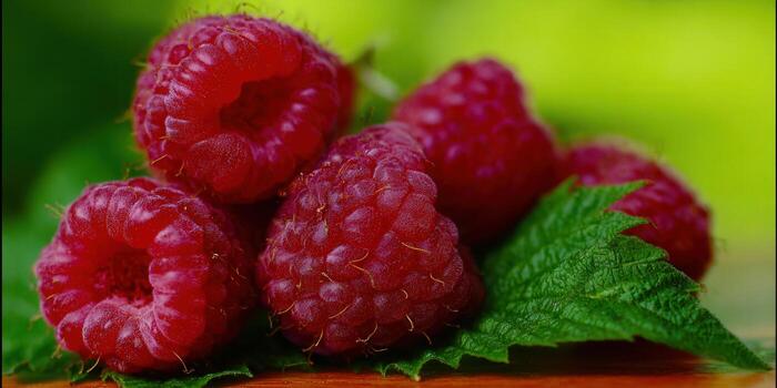 Fresh raspberries with green leaves on a blurred green background. photo