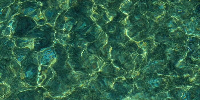 The tranquil surface of clear water, shimmering with light and gentle ripples, forms a beautiful abstract. photo
