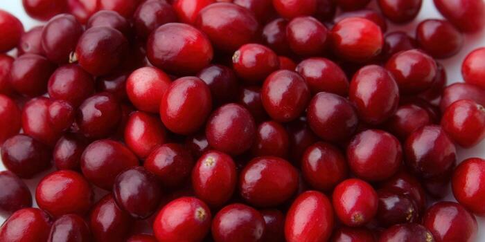 A close-up shot features a pile of vibrant, fresh red cranberries, ready for use. photo