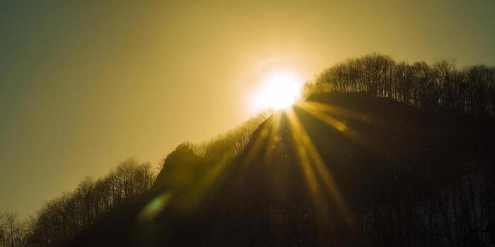 Sun shining brightly through trees atop a hill during golden hour. photo