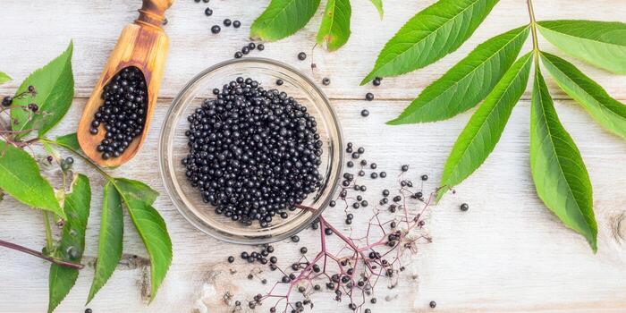 Fresh elderberries with green leaves and a wooden scoop on a rustic wooden background. photo