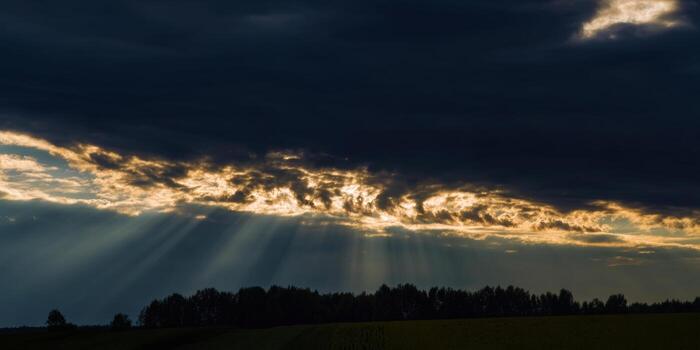 Sunlight streams through clouds, illuminating a serene forest landscape with dramatic flair. photo