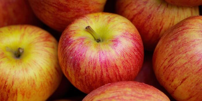 A cluster of vibrant red and yellow apples, showcasing fresh fruit in detail. photo