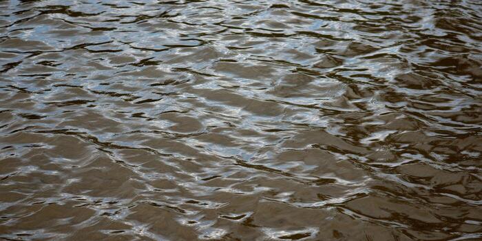 The water's surface displays a beautiful pattern of reflections and ripples in a close-up shot. photo