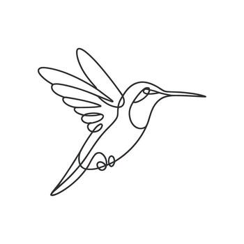 Hummingbird Continuous Line Art Minimalist Bird Drawing in Flight on Clear vector