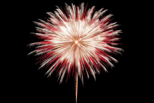 Firework Explosion in the Sky photo
