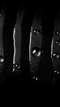 Monochromatic macro view of water droplets on dark, textured surfaces photo