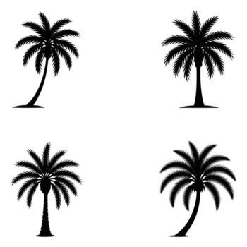 Palm trees black silhouette on a white background with varied trunk shapes and leaf arrangements vector