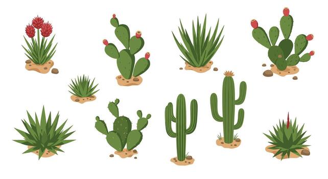 Diverse cactus collection featuring various succulent styles in flat design vector