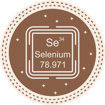 Selenium Square Consistent Branding Design Symbol vector