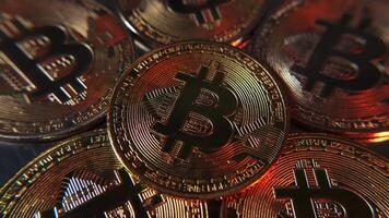 Krypto Währung Gold Bitcoin, btc, bisschen Münze. schließen oben von golden Bitcoin btc auf rotierend Tafel. video