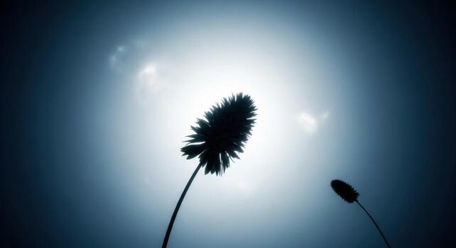 A tall plant with a sun in the background photo