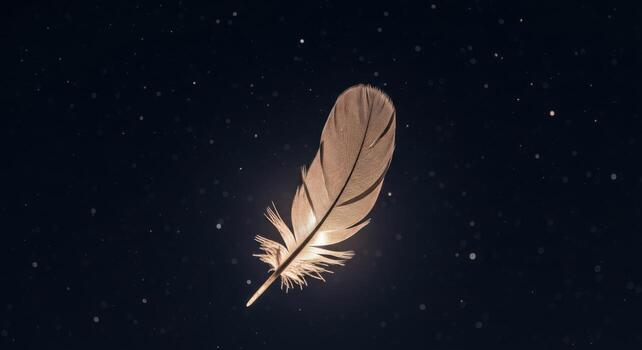 A feather is floating in the dark sky photo