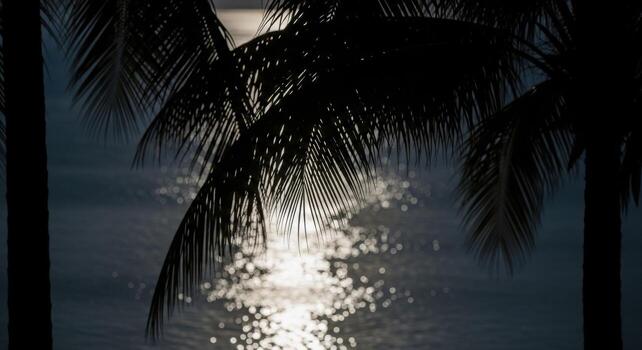 A full moon shining through the palm trees photo