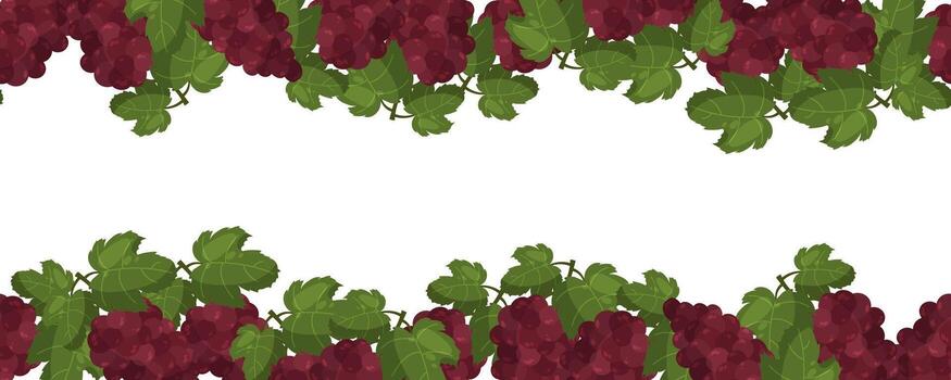 Seamless border with grape clusters and green leaves on top and bottom vector