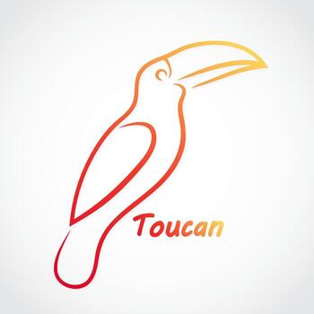 toucan bird color simple linear logo design vector