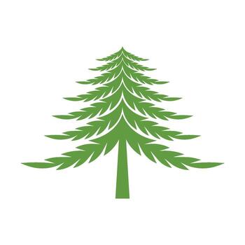 pino árbol modelo vector