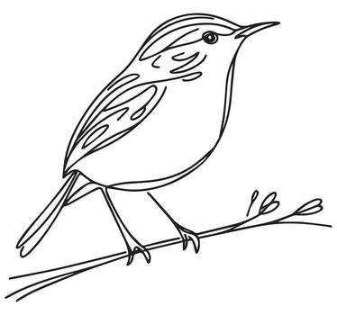 Small songbird perched on branch simple line vector