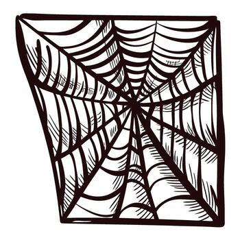 Hand drawn rectangular spider web illustration with intricate lines and bold ink on white background vector