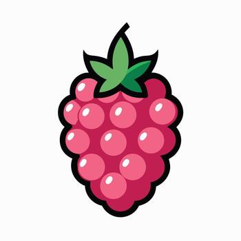 A raspberry is shown in a cartoon style vector