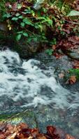 Pure Water Flowing From a Fresh Italian Mountain Spring Origin video