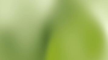 sfocato astratto natura verde pendenza sfondo adatto per sito web disegno, presentazioni, striscioni, e sociale media grafica. luminosa e calmante visivo. video