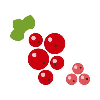 Vibrant red currants are showcased with a minimalistic line icon design. The fruit is depicted in clusters, highlighting their round shape and green leaves. vector
