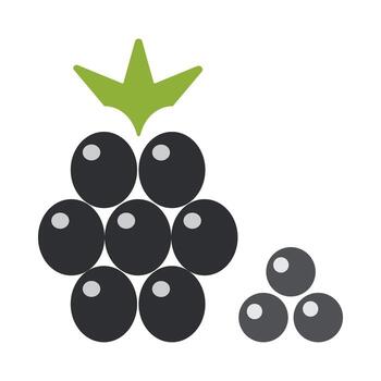This graphic features line icons depicting blackberries arranged in different sizes. The design emphasizes the fruit distinct shape and characteristics, focusing on simplicity. vector