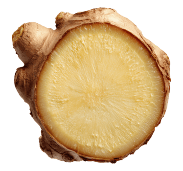 davanti Visualizza di un' Zenzero radice con uno fine affettato isolato su trasparente sfondo png