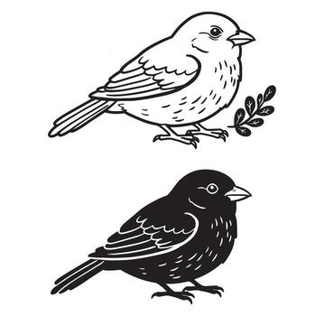 mano dibujado pájaro ilustraciones en negro y blanco demostración detallado pluma patrones en un blanco antecedentes vector