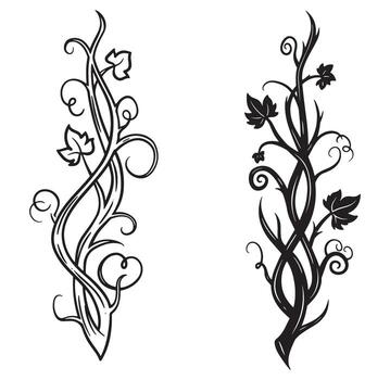 Decorative black and white illustrations of twisting vines with leafy elements for design vector