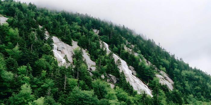 Multiple thin waterfalls cascade down a steep rocky mountainside densely covered in various shades of green evergreen trees under a cloudy sky photo