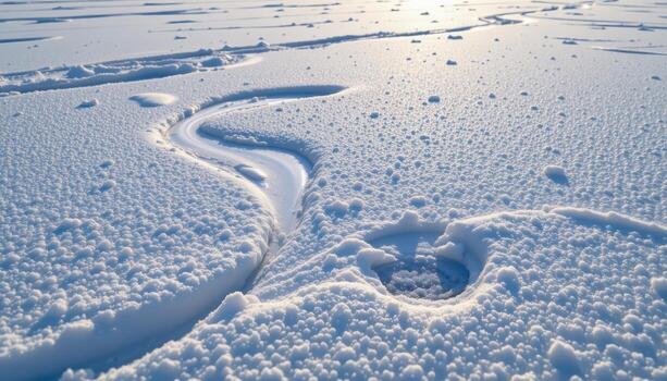 snow settles lightly across the frozen lake, subtle patterns formed naturally, soft light reflecting faintly. photo