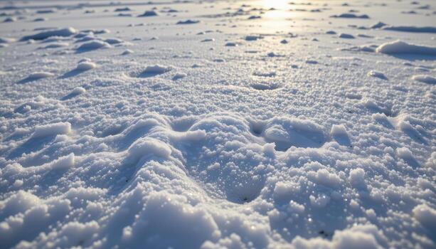 snow drifts lightly across frozen lake, subtle patterns forming naturally, sunlight casting faint glimmers on ice. photo
