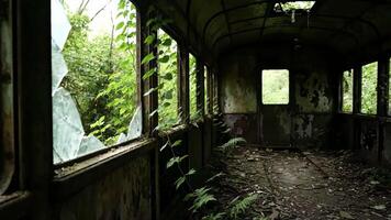 esplorando cariato treno auto nel foresta a giorno con rotto finestre e crescita eccessiva video