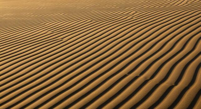 Close up of golden desert sand dunes showing intricate wind patterns and ripples photo