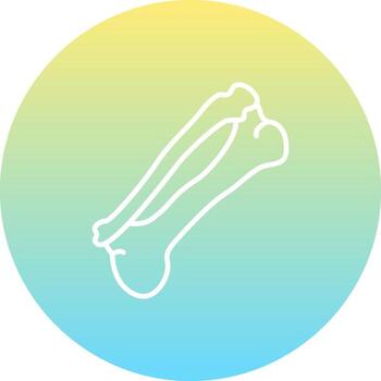 Tibia Professional Branding Graphic Layout vector