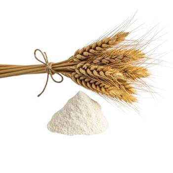 A pile of flour and a bundle of wheat stalks isolated on white background photo