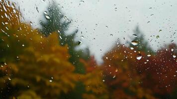 regndroppar på glas fönster i höst med färgrik träd i bakgrund video