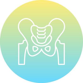 Pelvis Custom User Interface Layout vector