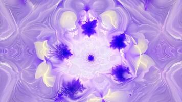 lila och vit blommor skapande en kalejdoskopisk effekt i en fraktal design mönster video
