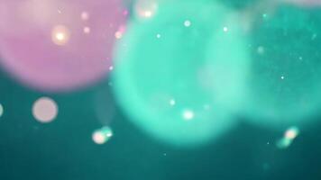 suave bokeh efeito dentro cerceta e Rosa com flutuando manchas para sonhadores pano de fundo video